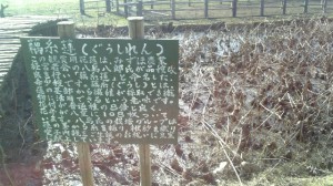 ぐうしれん