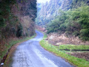 81c9b7214336a9d1d010d844369326fd