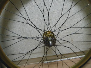 DSCF9043
