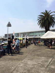 10367821_573617436091057_5266516973344738819_n